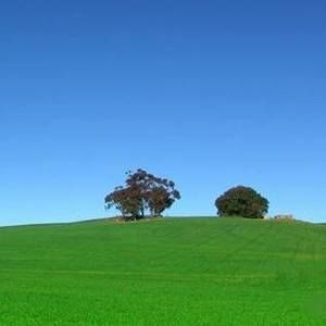 Meet your Posher, Bess